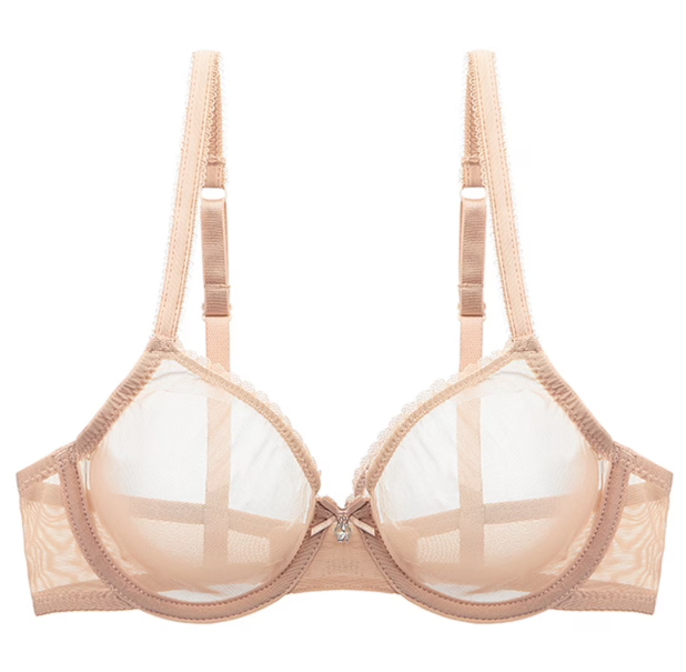 Mesh See-Through Bra