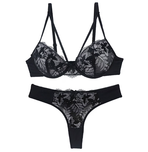 Luxury Embroidered Bra Set